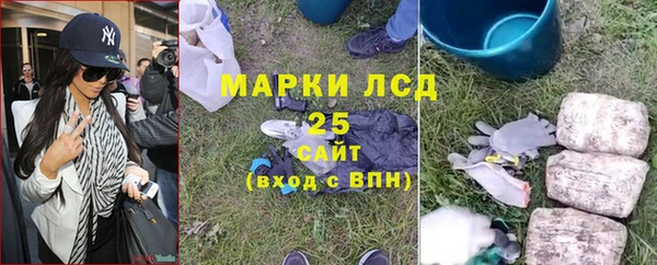 дживик Баксан