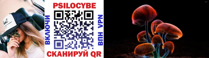 Псилоцибиновые грибы GOLDEN TEACHER  Афипский 